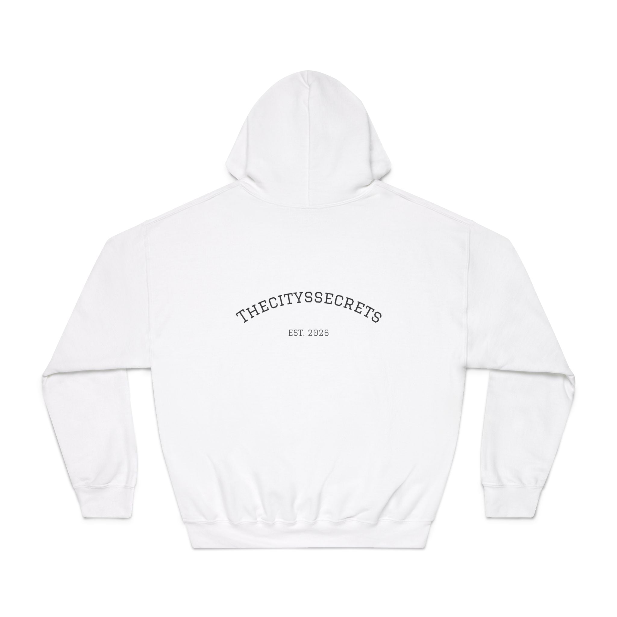 Unisex DryBlend® Hooded Sweatshirt- BRINGING ENERGY AND MOTIVATION