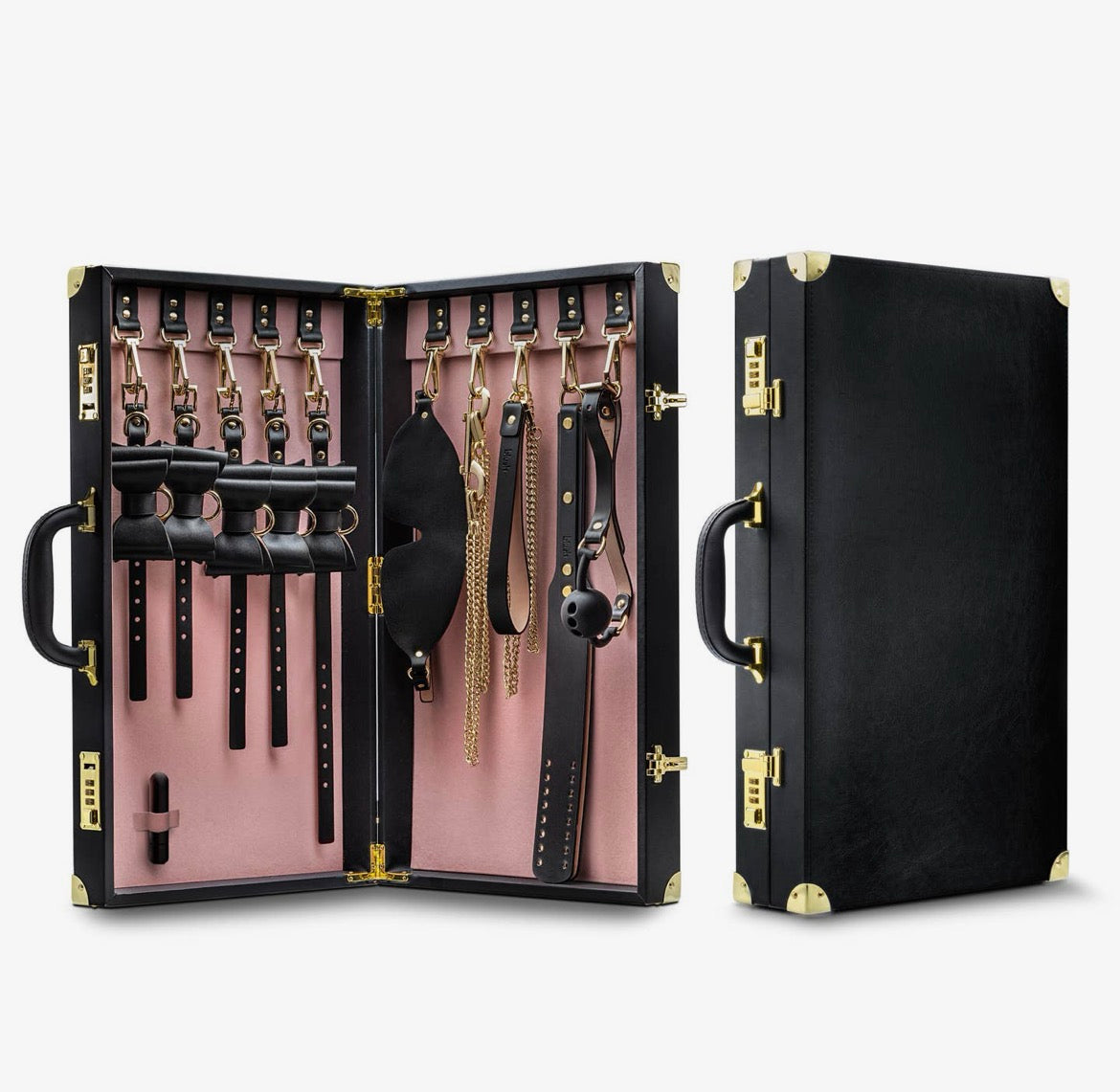 Safe Word Bondage Kit w/ Suitcase - The Citys Secrets